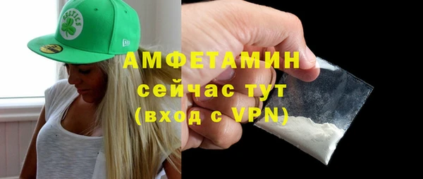 молекула духа Горняк
