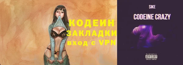 apvp Горнозаводск