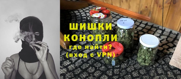 молекула духа Горняк