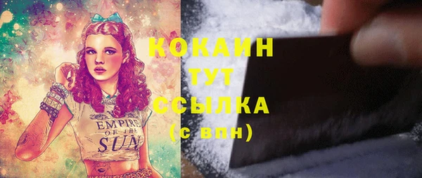 молекула духа Горняк