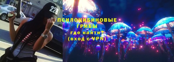 молекула духа Горняк