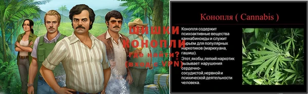 apvp Горнозаводск