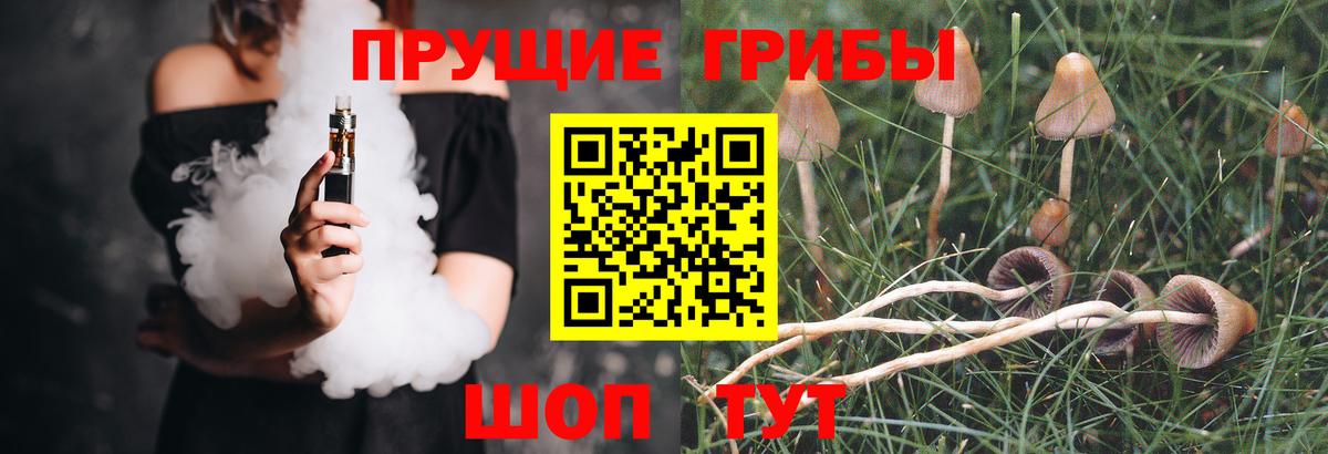 Псилоцибиновые грибы Magic Shrooms Воркута