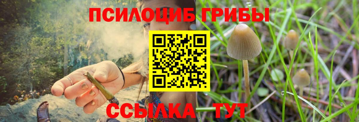 Псилоцибиновые грибы мухоморы  Вход с VPN  Воркута 