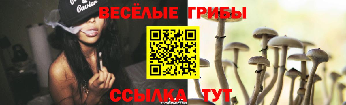 Галлюциногенные грибы Psilocybe  Воркута  Псилоцибиновые грибы MAGIC MUSHROOMS 